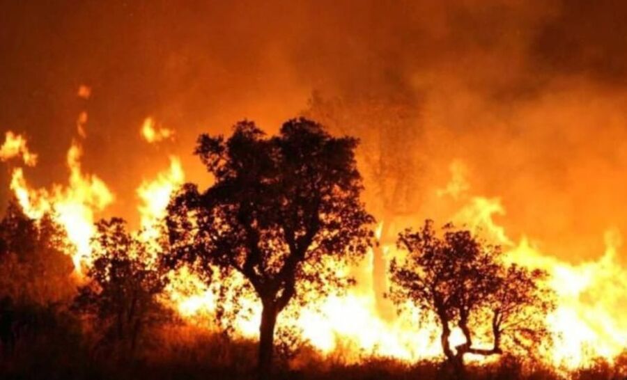 البروفيسور ملاعبة يحذر من التهديد الوجودي