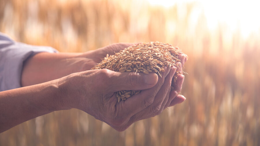 مجلس الوزراء يقر نظام مجلس الأمن