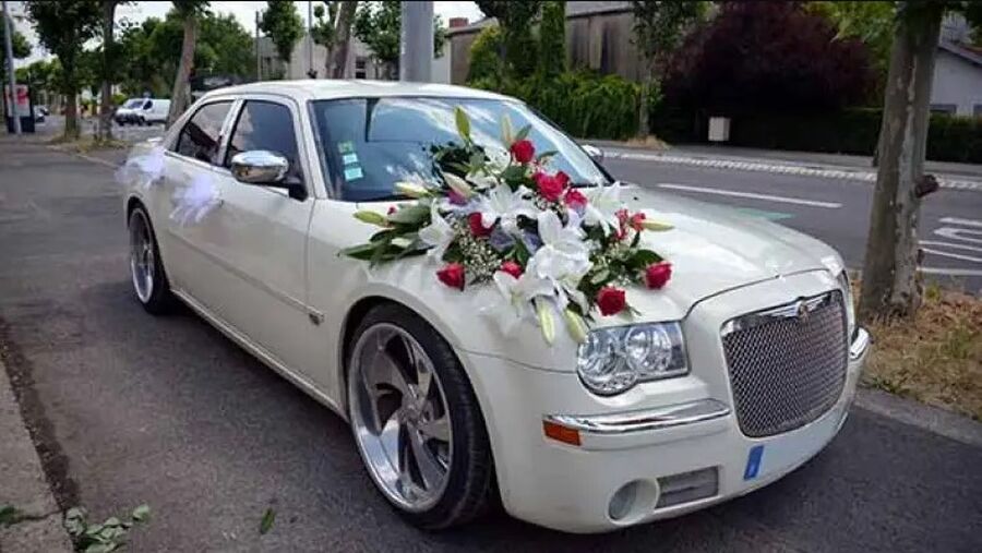 ضبط 113 مركبة أجنبية مخالفة لشروط