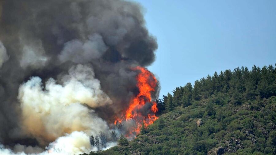 بتوجيهات ملكية.. تسيير ثلاث طائرات إلى