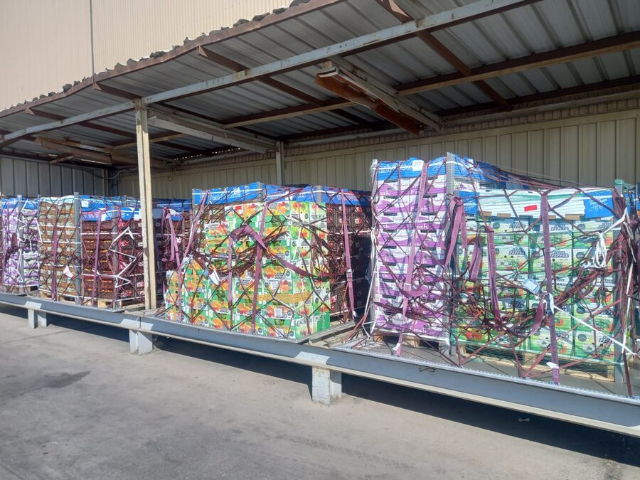 3091 طن خضار وفواكه ترد للسوق