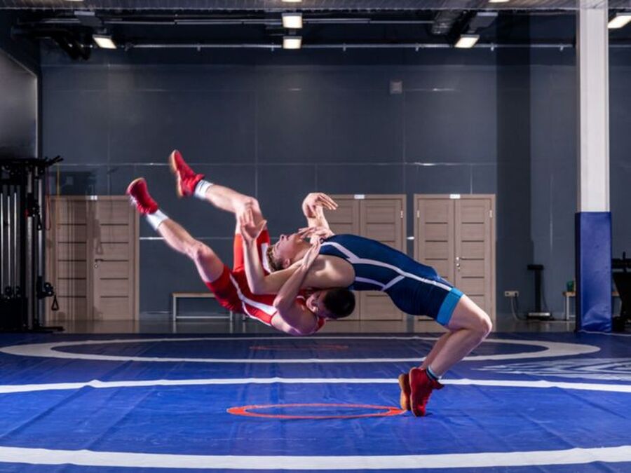 خطة أمنية شاملة لبطولة العالم للمصارعة