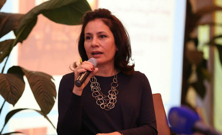 زواتي: الطاقة نجحت بتوسيع شبكة الكهرباء