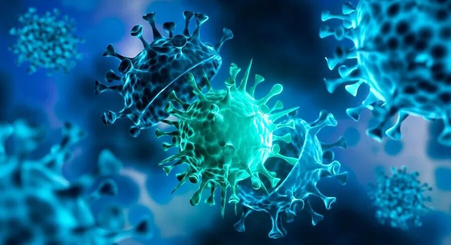 100 إصابة.. وزارة الصحة الفلسطينية تسجل