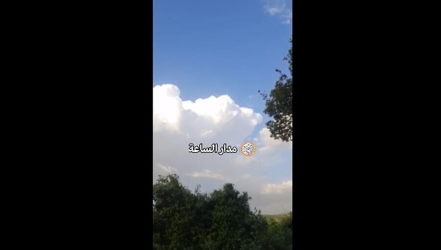 هذا ما حدث في غابة برقش..