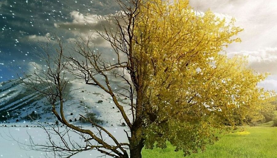 رحلة المناوشات اللطيفة بين عشاق الصيف