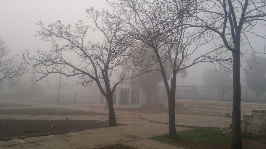 في اب اللهاب.. الضباب يلف مناطق