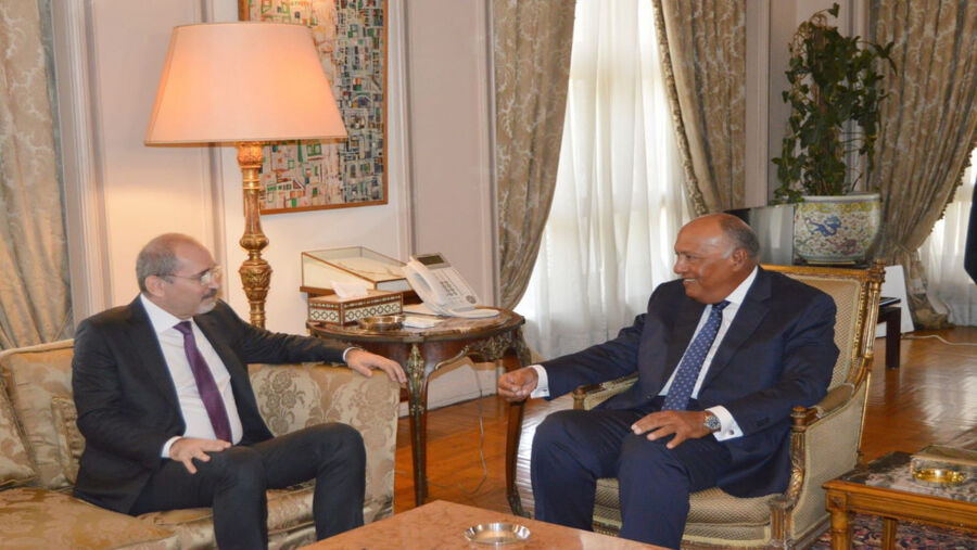 الصفدي وشكري يؤكدان مواصلة التشاور حيال