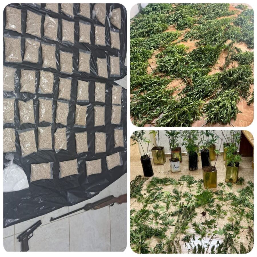 القبض على 13 تاجرا ومروجا للمخدرات