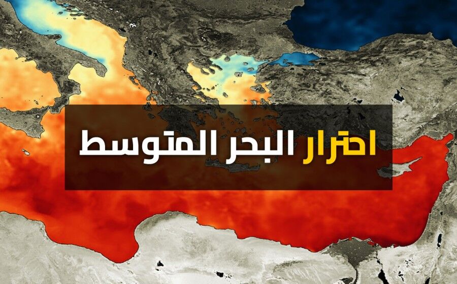 كائن مستفيد من الحر الشديد في