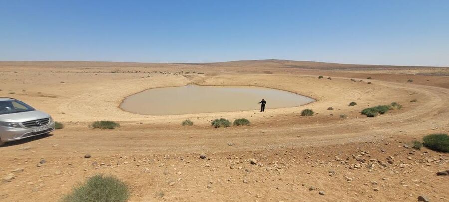 “واحة راجل”.. تلك التي تركت في