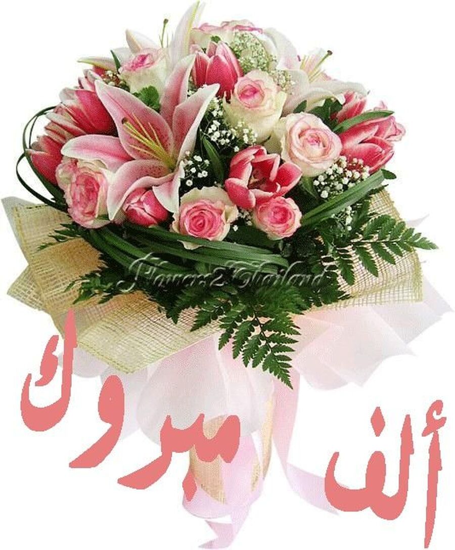 جود زياد ابو جاموس.. مبارك