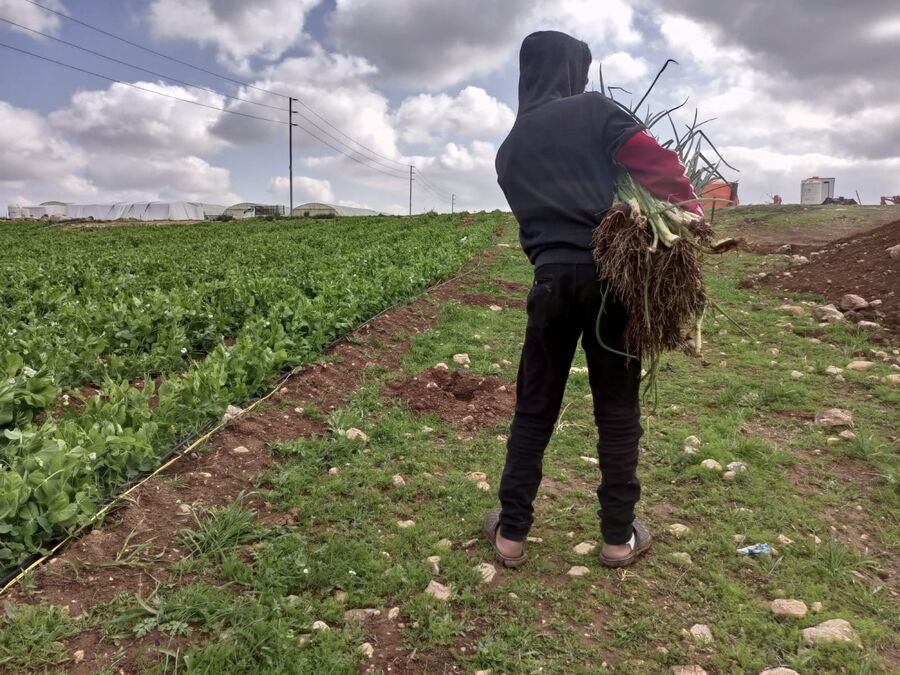 إقرار نظام تعويض المزارعين المتضرّرين من