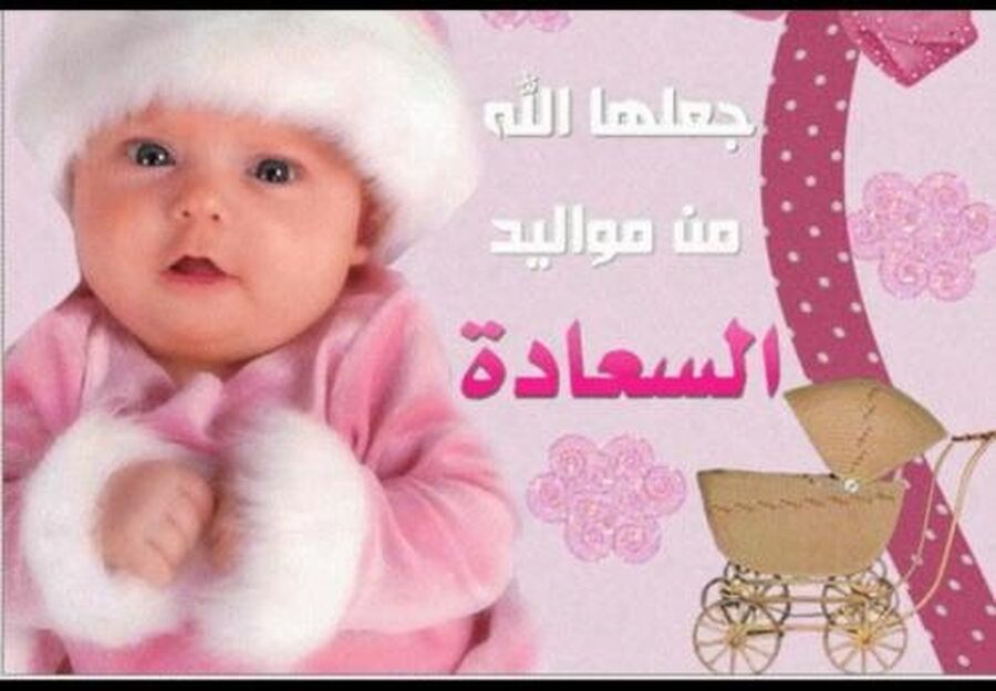 رتيل سائد الشوبكي ترى النور