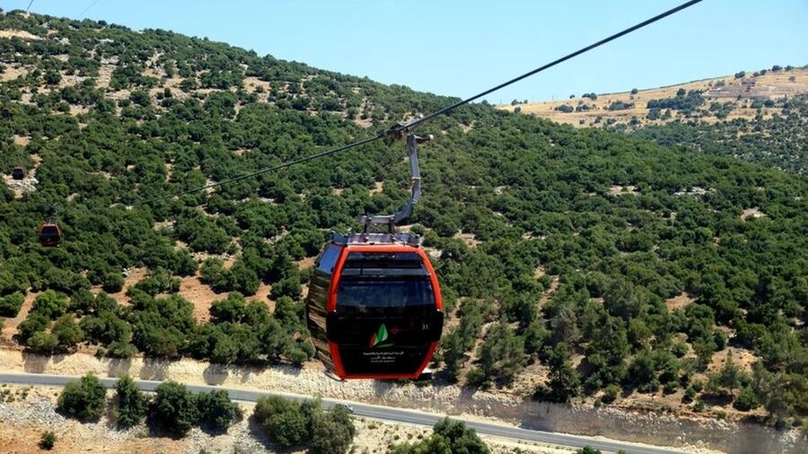 تحديد يوم الثلاثاء من كل أسبوع