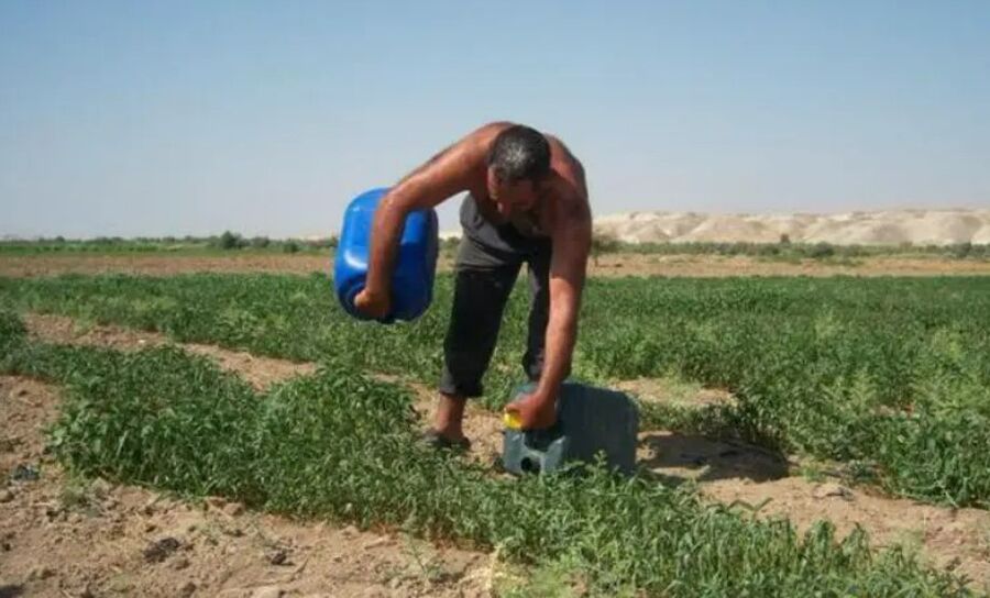 الحكومة: 31 ألف عامل وافد بالقطاع