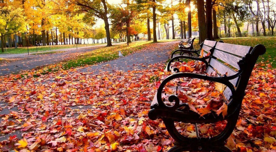 الأرصاد تعلن التوقعات الفصلية لخريف في