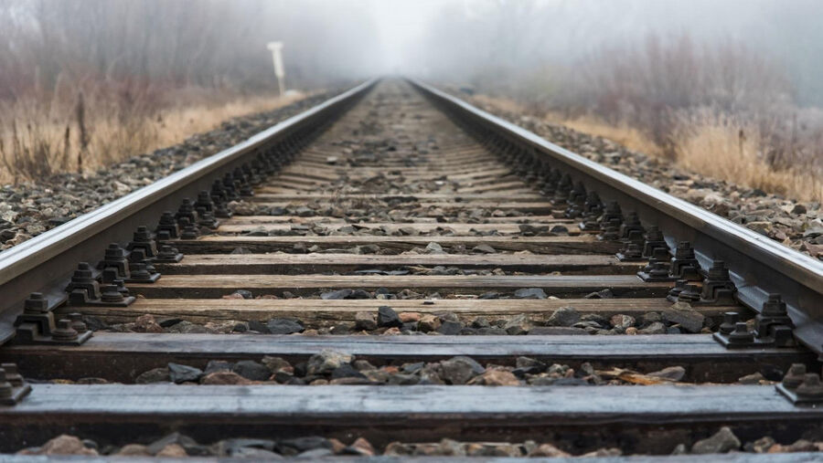 داخل مدينة العقبة؛ قطار كهربائي على