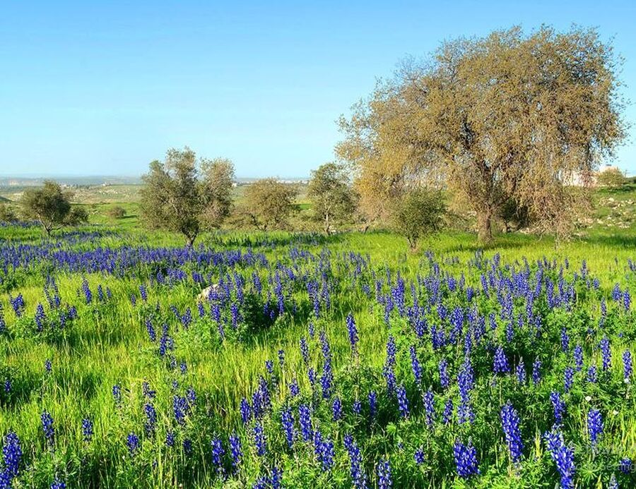 مسابقة أفضل فيديو ترويجي عن الأردن..