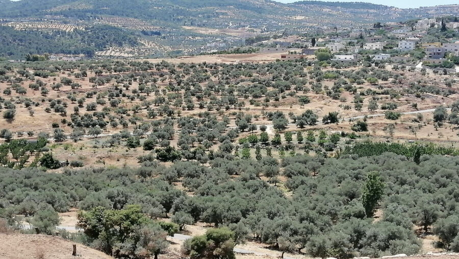 لجنة حصر الاعتداءات على أملاك الدولة