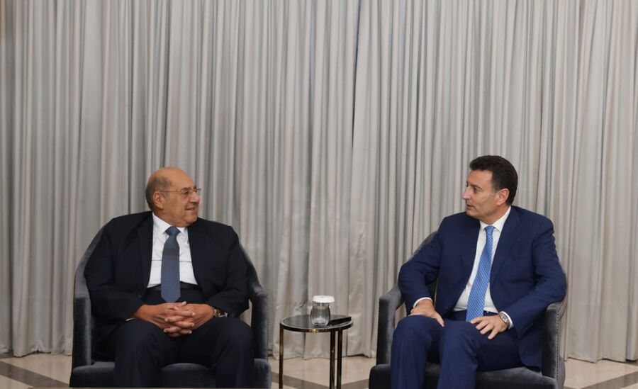 الصفدي ورئيس الشيوخ المصري: الوصاية الهاشمية