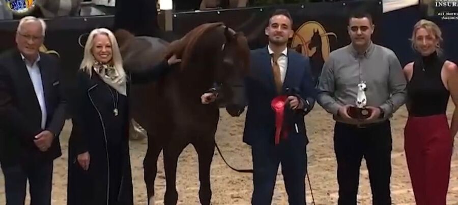 انتاج الأردن.. سلطان يتوج بالمركز الخامس