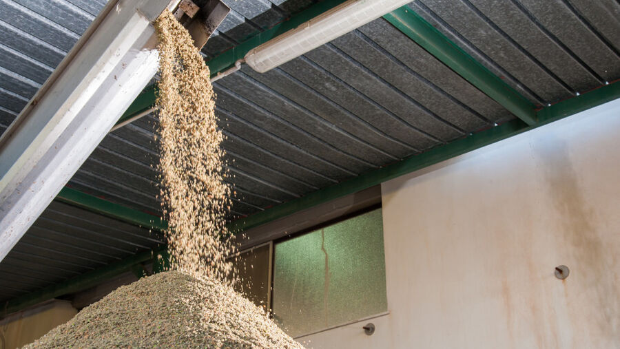 محافظ جرش يلزم معاصر الزيتون بالتعاقد