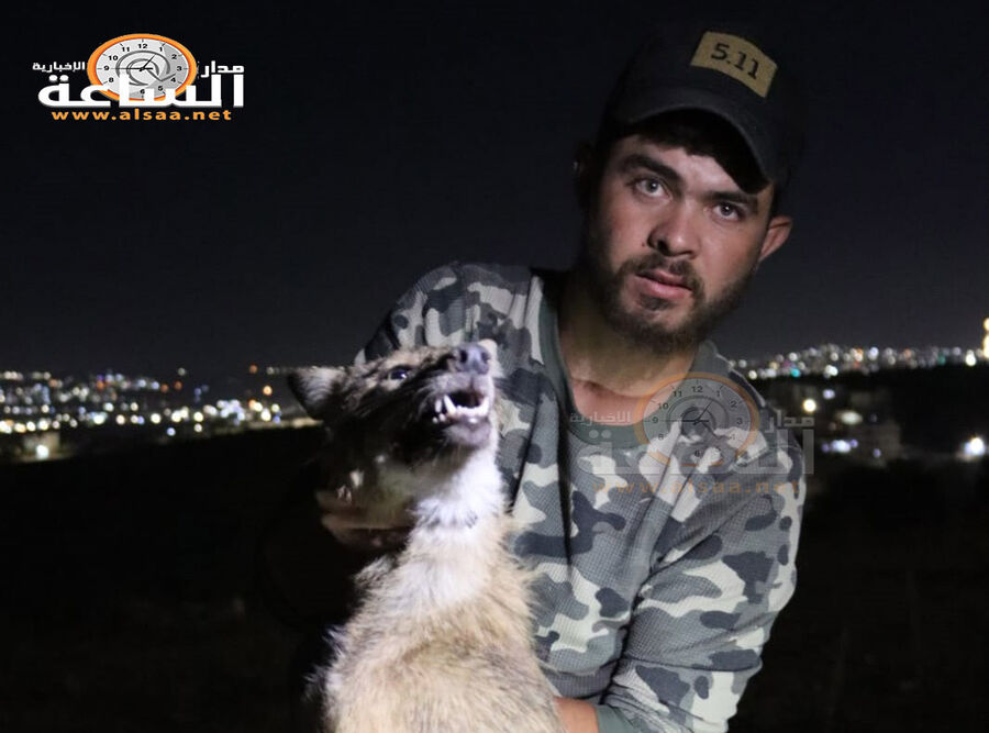 قبضوا عليه في دوقرة في إربد