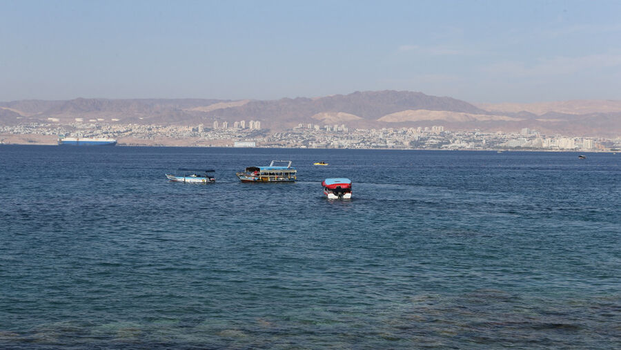 بطول 6 أمتار.. تحقيق لمعرفة سبب