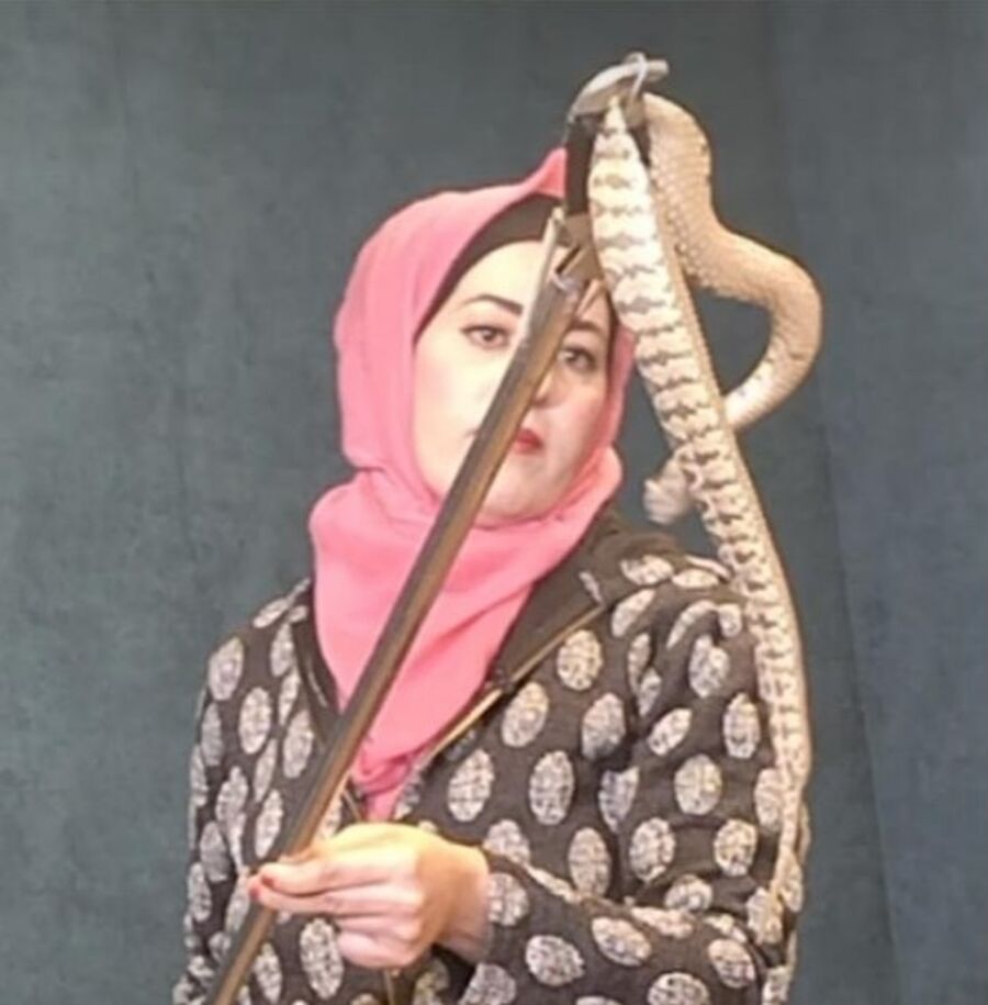 خبيرة أفاعي أردنية تحذر من أنتشار