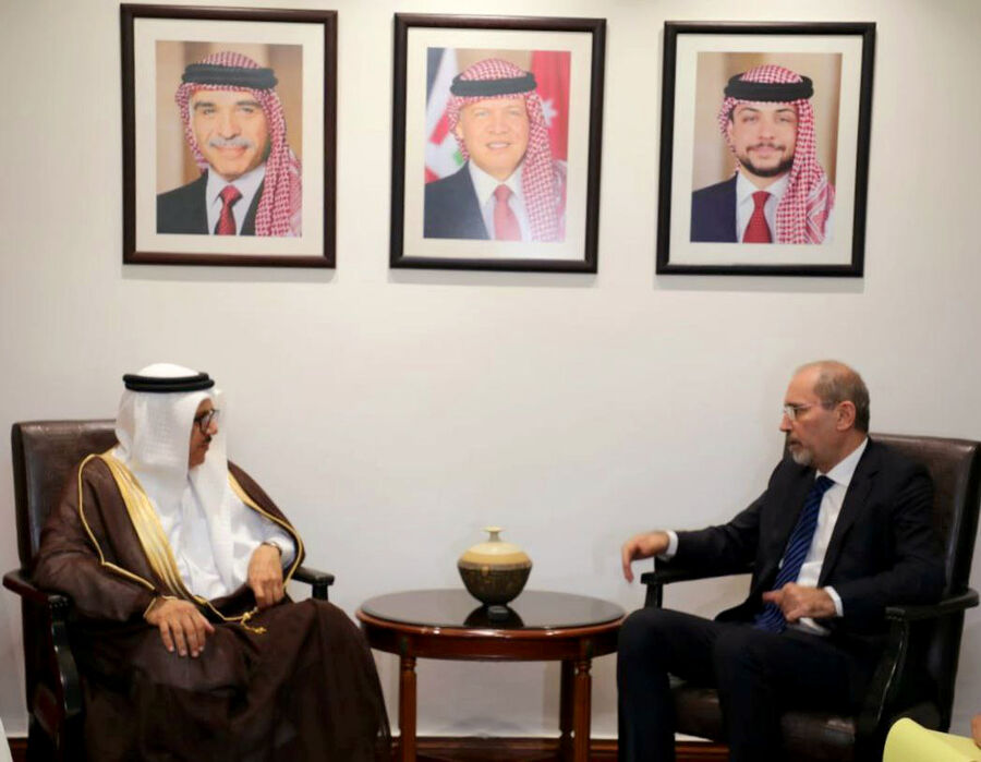 الصفدي والزياني.. التنسيق والتشاور في جهود