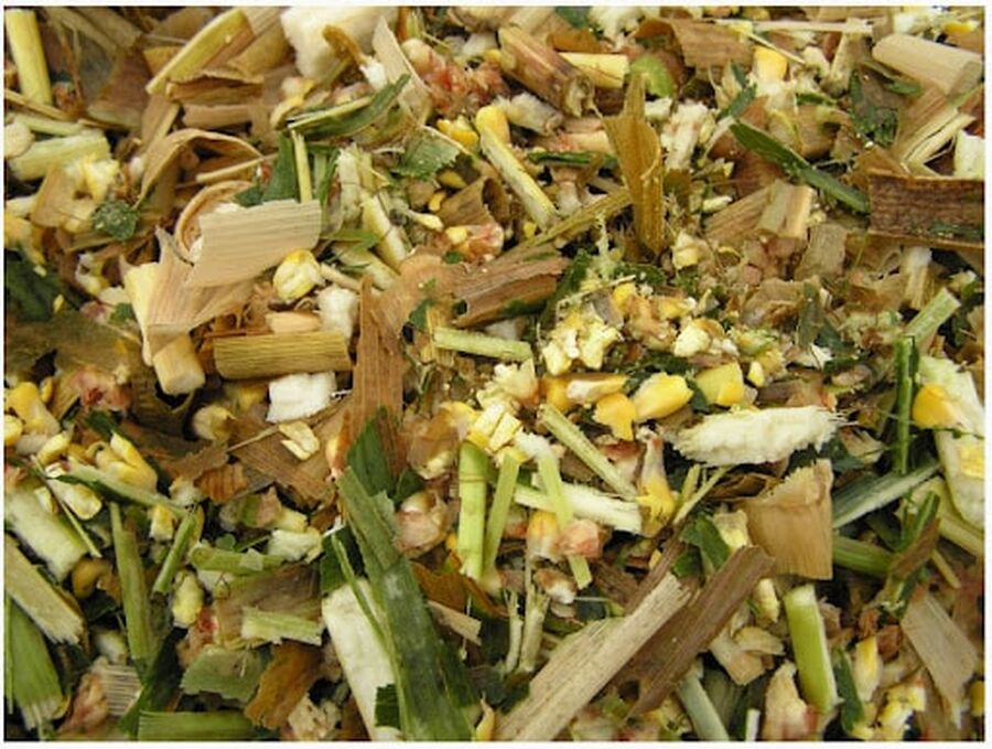 الزراعة تعلق استيراد علف السيلاج