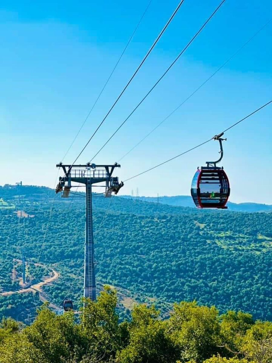 لمدة 7 أيام.. وقف استقبال زوار