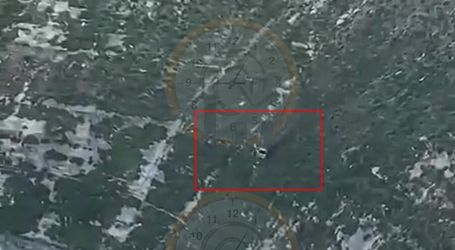 بالفيديو.. مشهد لا يصدق.. اردني يقفز