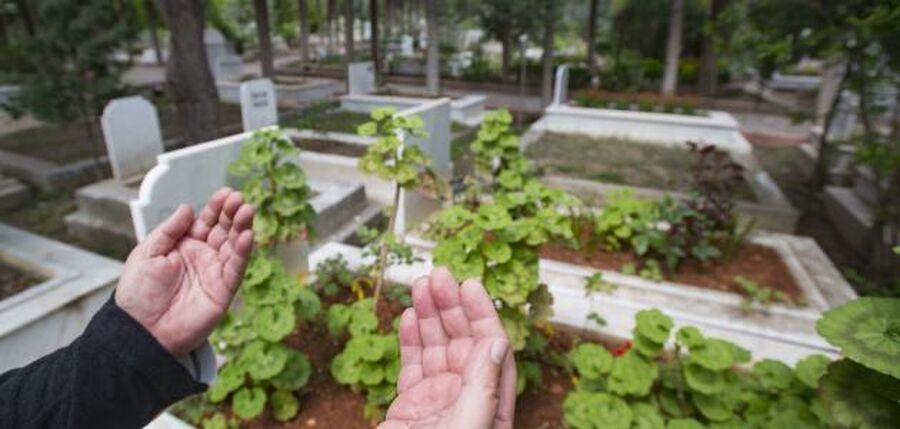 القبر موعدنا