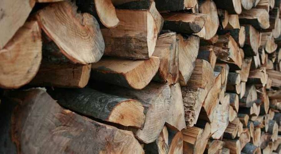 ضبط مركبة محملة بالحطب في المزار