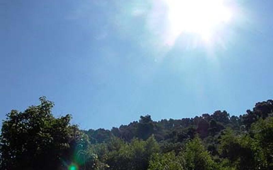 الأردن.. طقس دافئ حتى الإثنين ومتابعة