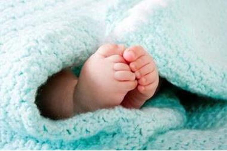 تامر الدروشة.. مبارك المولود الجديد