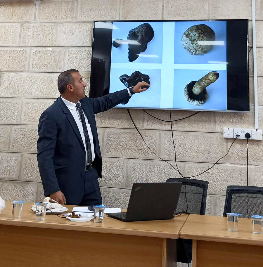 كيف نميّز بين الفطر السام والصالح