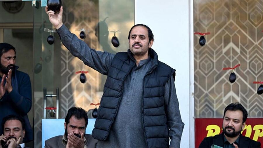 باذنجانة وسرير وزجاجة.. . رموز انتخابية