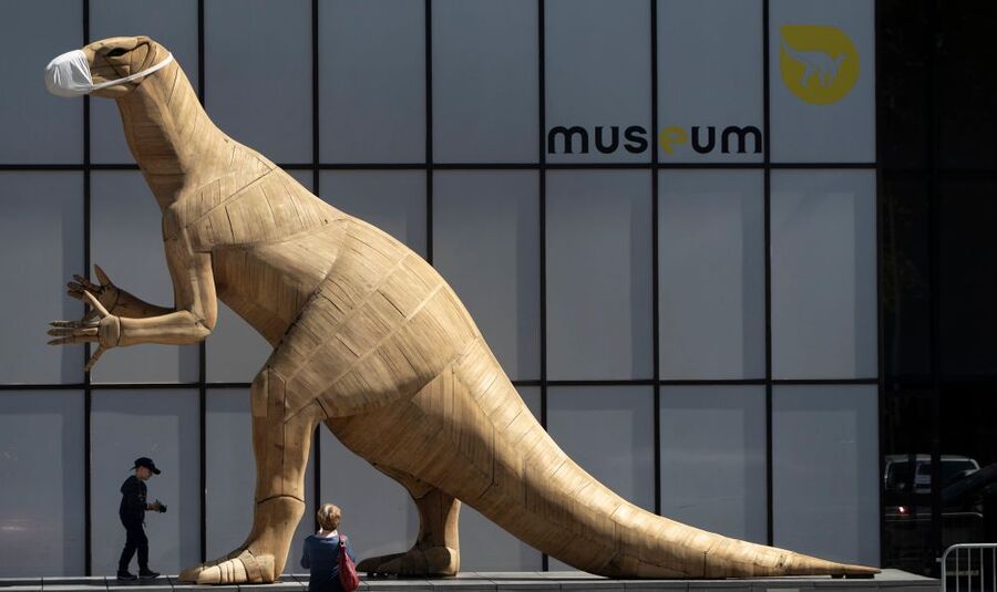 العثور على أحافير لزاحف طائر من