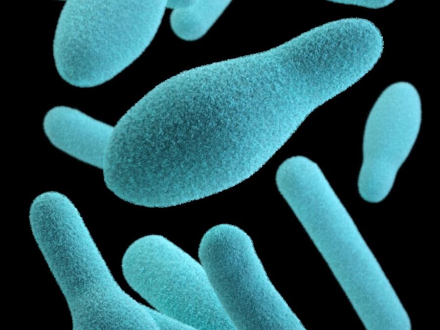 اكتشاف نوع جديد من الحياة في