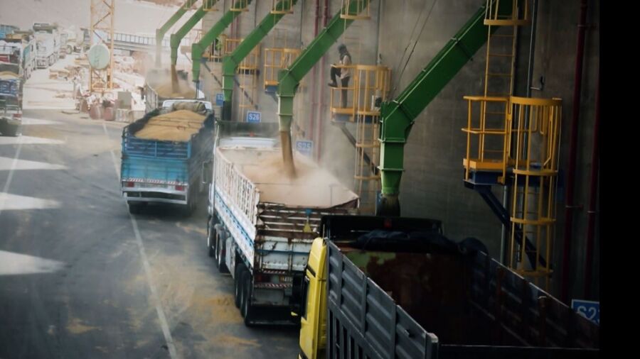 الصوامع الأردنية: السعات التخزينية تفوق 400