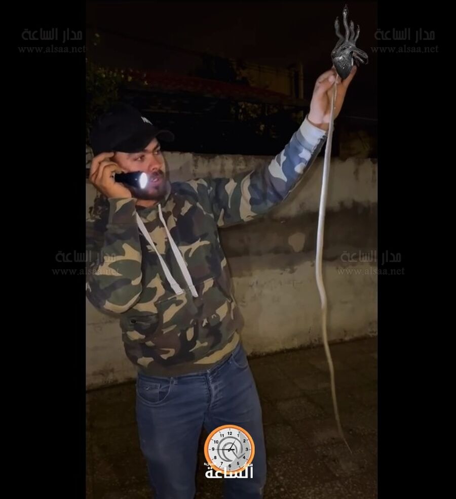 شاهد.. الجيزاوي يقبض على أفعى الزيتون