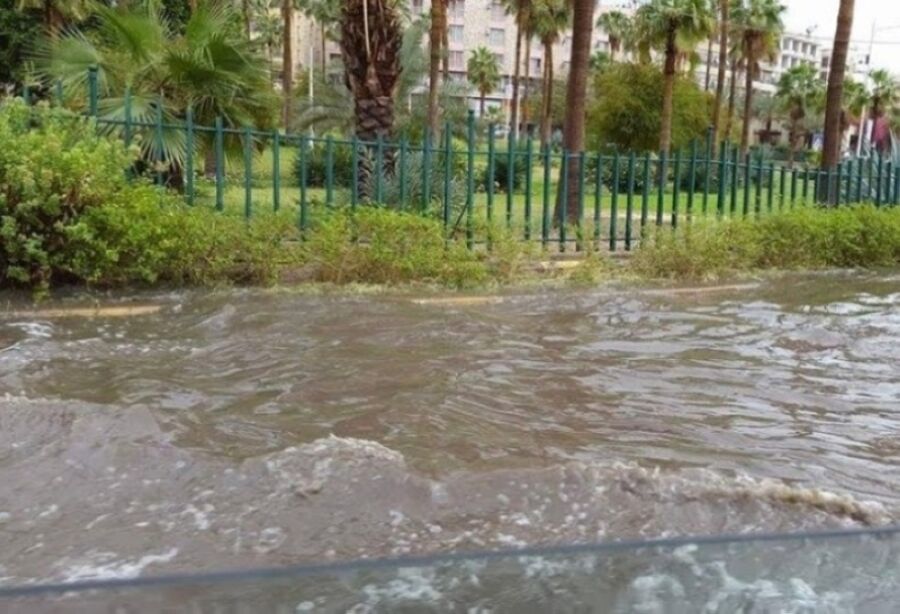 الدفاع المدني يخلي شخصا حاصرته السيول