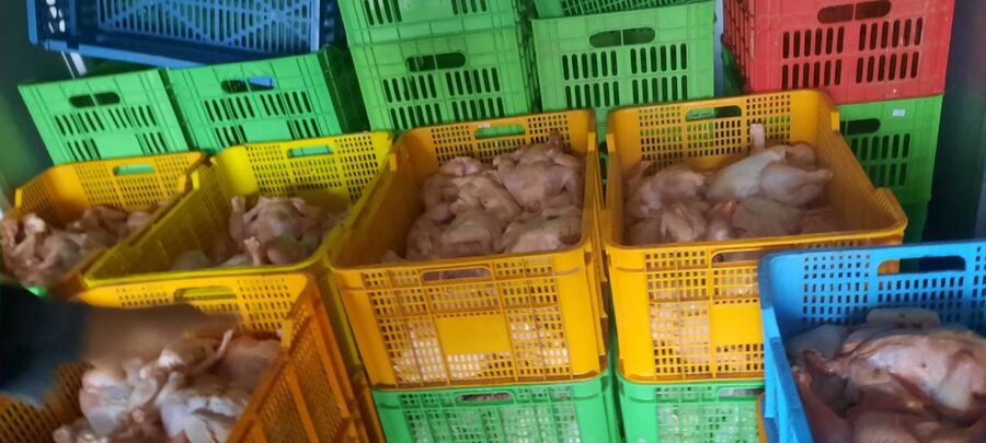 قبل وصولها للمواطنين.. إتلاف 600 كيلو