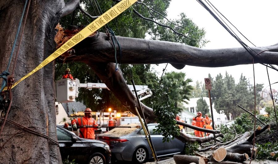 للأردنيين في ولاية كاليفورنيا.. توخي الحيطة
