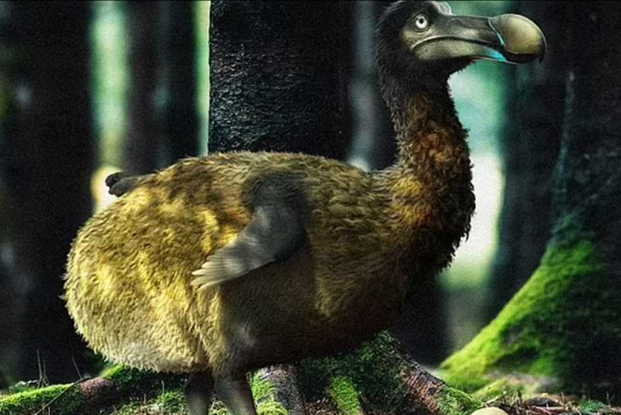 بعد 350 عاما.. علماء يحاولون إعادة