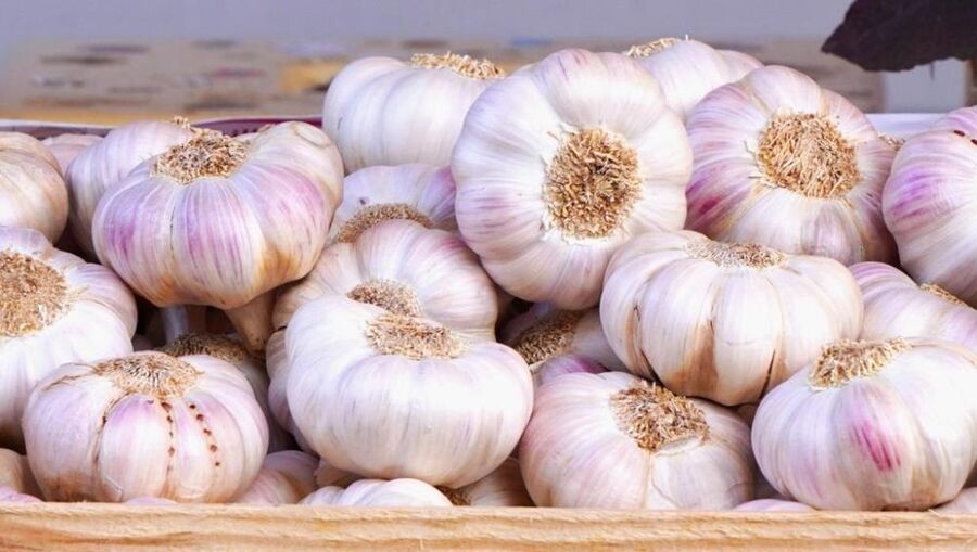 جدل حيال ارتفاع أسعار الثوم البلدي