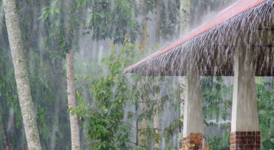 خلال الساعات المقبلة.. أمطار رعدية في